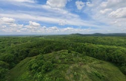 298 Eaton Run, Wasola, MO 65773