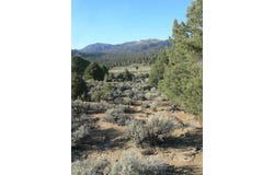 310-010-02 Gorman Rd., Kennedy Meadows, CA 93527