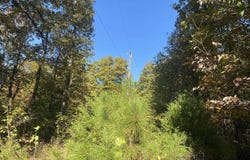Jensen Road, Mountain View, AR 72560