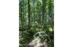 Hwy 72 lot: 1-4, Walnut, MS 38683