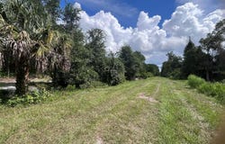 334 REDWOOD Boulevard, GEORGETOWN, FL 32139