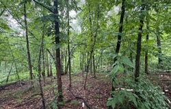 Hardy Lake Road, Baxter, MN 56425