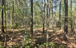 Renee Drive lot: A-20, Hampstead, NC 28443