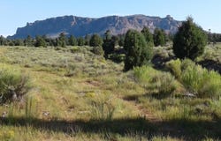 159+ Acres Tom Best Springs Rd, Bryce, UT 84764