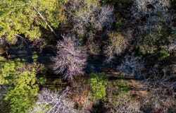 County Road 1135, Kennard, TX 75835