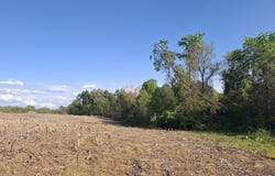 CR 681, Hartford, MI 49057