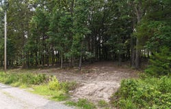 Deer Run Street, Shell Knob, MO 65747