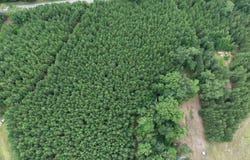 Hwy 3, Barnwell, SC 29812