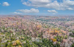 Kerley Point Cove Road, Elizabeth, AR 72531