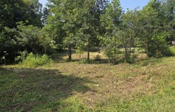 Dean King Road, Pine Knot, KY 42635