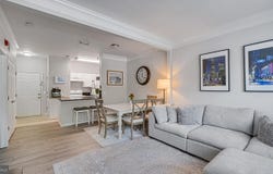 1530 SPRING GATE DR #9113, MCLEAN, VA 22102