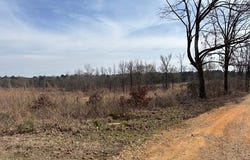 Red Springs Road, Gurdon, AR 71743