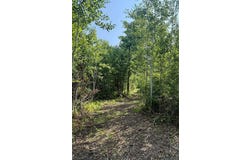 4 County Road T, Danbury, WI 54830