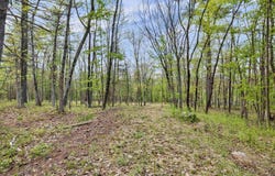 Route 44/55, Kerhonkson, NY 12446