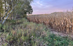 Holly Rd, Pine City, MN 55063