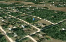 4955 NE 142ND Center, WILLISTON, FL 32696