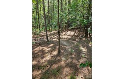 Cypress Drive, Winnsboro, SC 29180