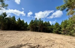 Robert Bateman Road, Franklinton, LA 70438