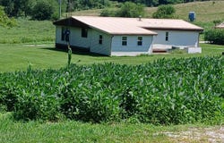 7341 E 1400 N Road, Elnora, IN 47529