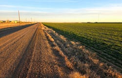 Shumaker Rd, Bennett, CO 80102