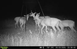 999-2 CR3805, Bailey, TX 75413