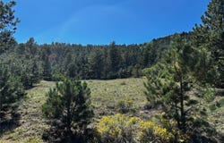Thomas Trail, Canon City, CO 81212
