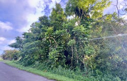 PUHALA DR, Pahoa, HI 96778