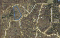 Cedar Gap Central Lane, Mansfield, MO 65704