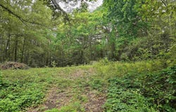 125 Jenkins St, Henderson, TX 75654