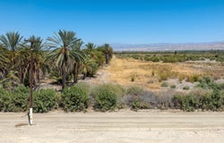 Ave 68, Mecca, CA 92254