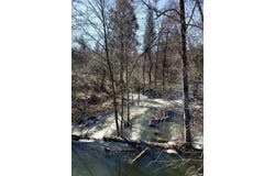 Road 225, North Fork, CA 93643