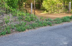 277 County Road 408, Englewood, TN 37329