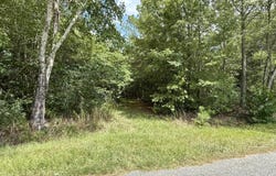 Cohen Road, Pineland, SC 29934