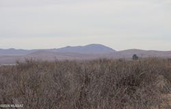 IRON ROSE Road, Willcox, AZ 85643