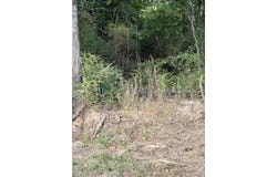 Hwy 149, Tatum, TX 75691