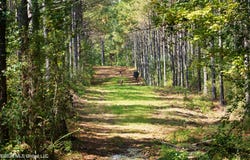SE Pleasant Grove Road, Ruth, MS 39662