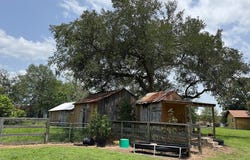 220 Bybee Road, Round Top, TX 78954