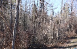 Ashley Drive, Goshen, CT 06756