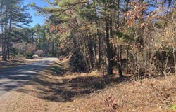 Edgemere Loop, Fairfield Bay, AR 72088