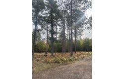 1 White Pine Way Road, Marquette, MI 49855