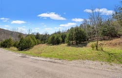 Freeman lot: 1, Pacific, MO 63069