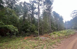 TRACT 57 FM 1751, San Augustine, TX 75972