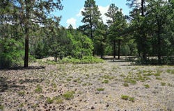The Forks Rd, Chama, NM 87520