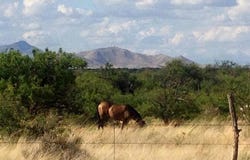 E162 E De Vaca Circle, St. David, AZ 85630