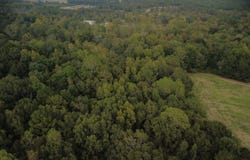 Highway 25, Wilsonville, AL 35044