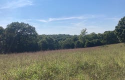 Osceola Road, Bruner, MO 65620