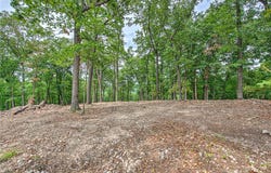 Eagle Cove Road lot: 8, Eureka Springs, AR 72631