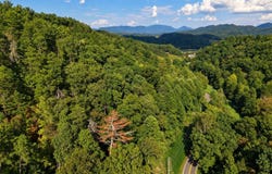 Pittman Center Rd lot: 1 & 2, Sevierville, TN 37876