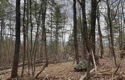 0 Snell Road, Chester, VT 05143