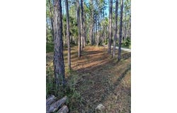540 SW 326TH Avenue, STEINHATCHEE, FL 32359